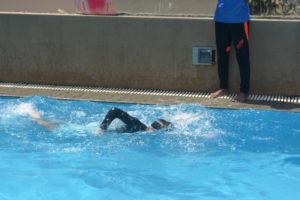 annual-swimming-competition_6